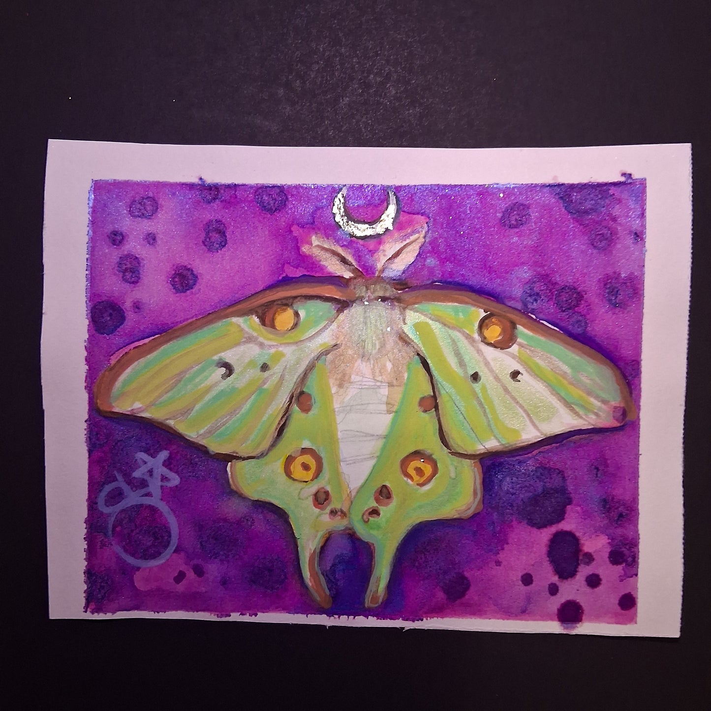Luna Moth Painting Original