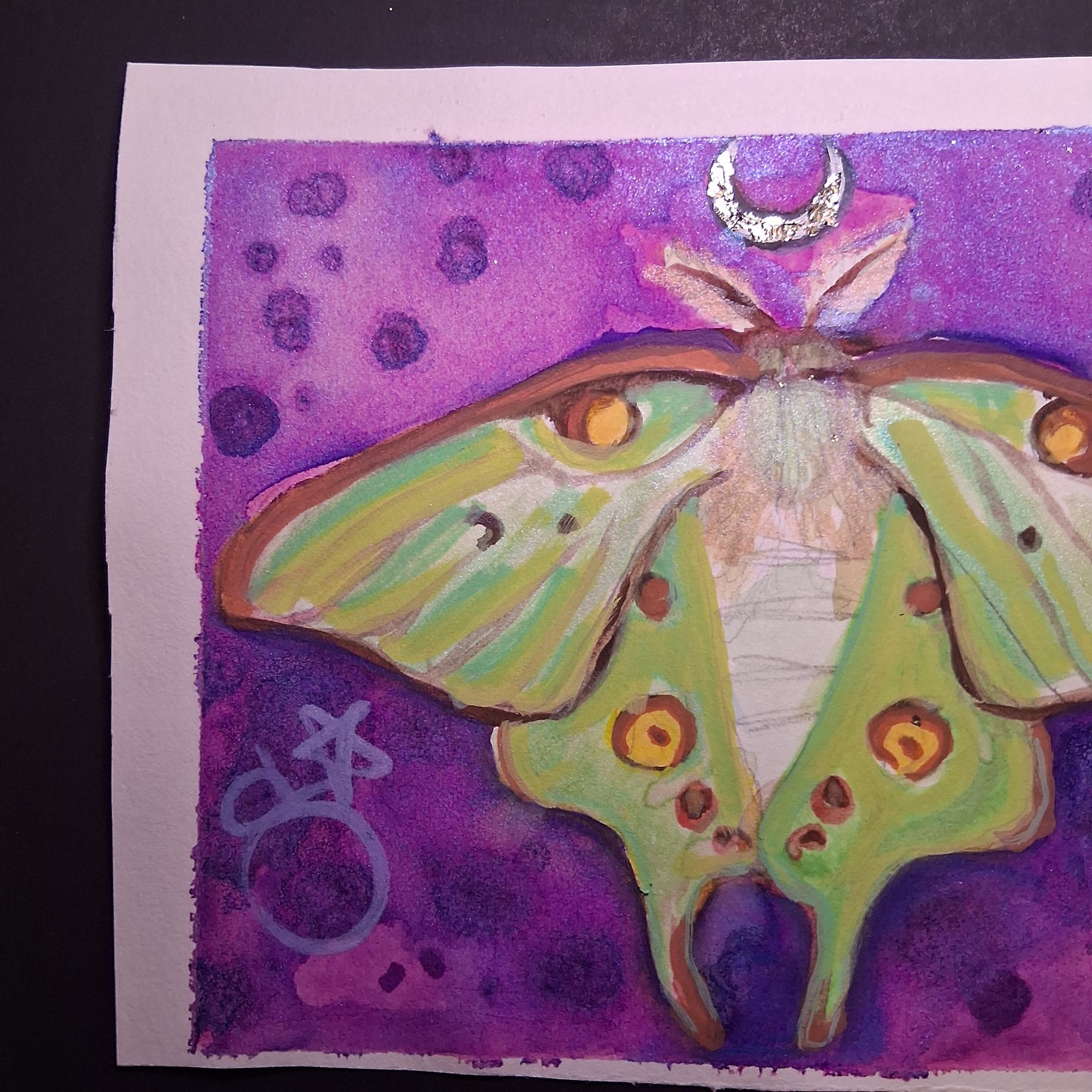 Luna Moth Painting Original